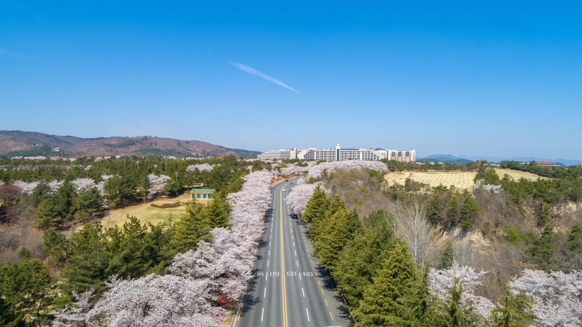 Kensington Resort Kjongdzsu Kültér fotó